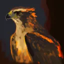 Hawkerton (@hawkertondh) 's Twitter Profile