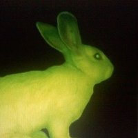 shisha patootie (@houmous4shisha) 's Twitter Profile