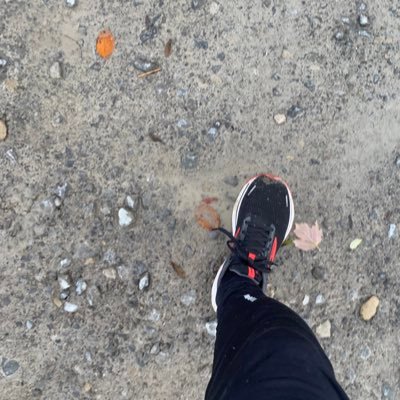 Trnschhbrtr's profile picture. Blues. Rock. Und Blues Rock.