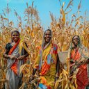 Eric Faust - @EricFaust571417 - Twitter