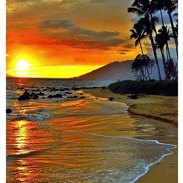 HkHK50505's profile picture. ..........