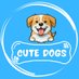 Cute Dogs (@cjutedogs) Twitter profile photo Cute Dogs (@cjutedogs) Twitter profile photo