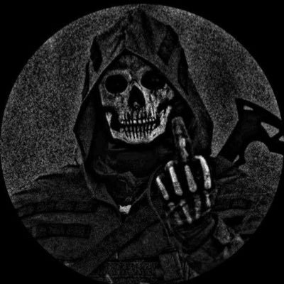 netSPEED4's profile picture. 