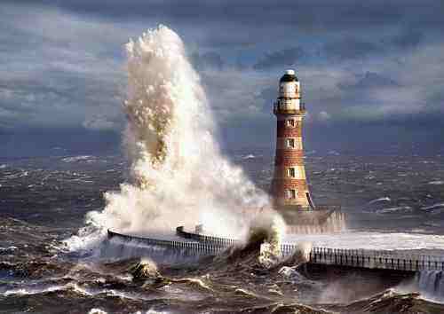 wishmachin's profile picture. A non-profit fundraiser for any charity that needs us