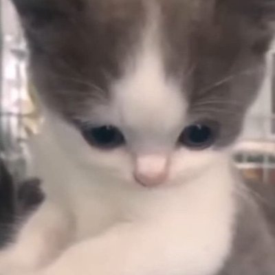 VisibleTeaching's profile picture. 