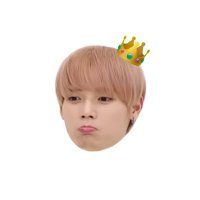 𝗁𝗂𝗇𝖺 (@__kim_1o) 's Twitter Profile