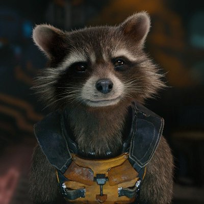 🦝 Michael | Impulse Pool Operator | DevOps Profile