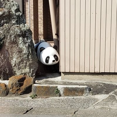 たっふぃ🎾さんのプロフィール画像