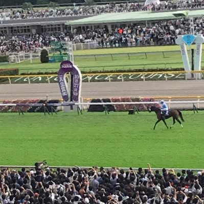 競馬と麻雀が大好きで脳内の大半を占めています。競馬も麻雀もヘタクソです。散歩エリアは梅田・十三・南方・園田・仁川あたり　推し:✨オルフェーヴル✨スターズオンアース ☆ウインバリアシオン☆イスラボニータ☆ クリンチャー☆タンタアレグリア ✨ノースフライトなどなど