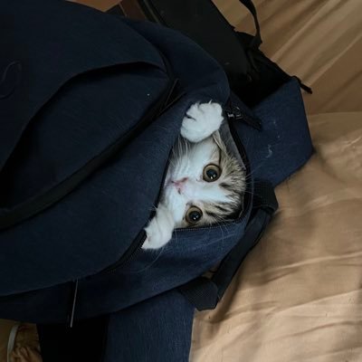 yahahan26's profile picture. Just another dude on the internet