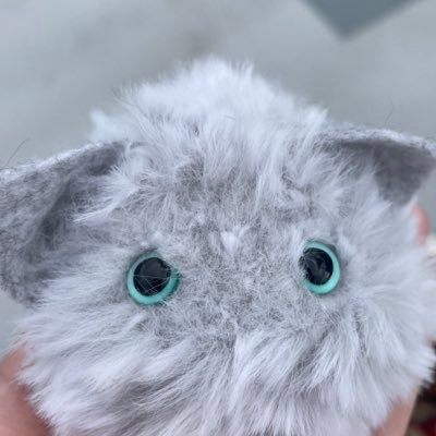 nyarume_zzz's profile picture. 部屋汚いけどぬいぐるみたちが大好き #ぬい撮り