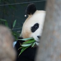 ํธ์น๐ผ (@fu_oo_ng) 's Twitter Profile