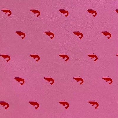 lammcurryrezept's profile picture. 🦐💙🤍