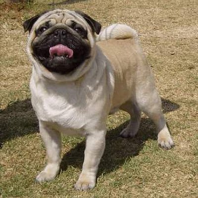 davidpalmer606's profile picture. 