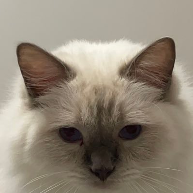 ohyeskid's profile picture. 