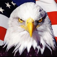 Robert Buchholz (@buchholzbob) 's Twitter Profile