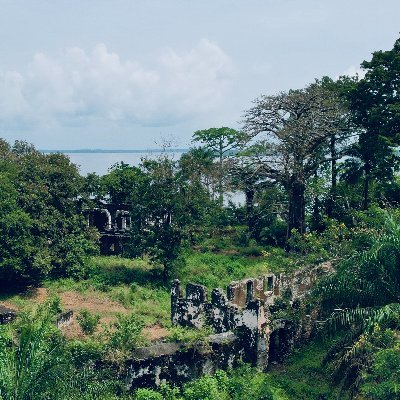 Proclaiming, preserving, and protecting Sierra Leone's monuments and relics since 1948.