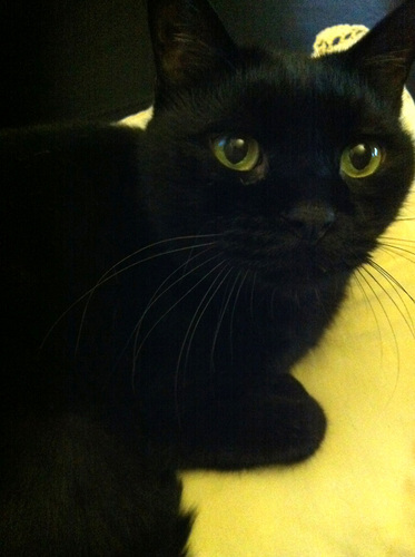 uuu800's profile picture. 被災された地域の方々に心よりお見舞いを申し上げます。これ以上の被害が広がらないよう祈ったり勉強したりせねばです。