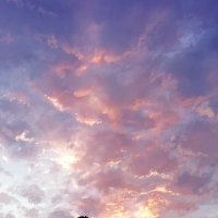 mocha (@mochamt) 's Twitter Profile
