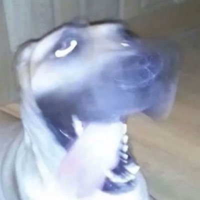 polaroidGN's profile picture. @00snaf @heyTy1er