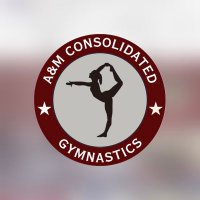 TigerGymnastics(@TigerGymnastic) 's Twitter Profile Photo