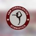 TigerGymnastics (@tigergymnastic) Twitter profile photo