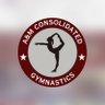 TigerGymnastic's profile picture. 