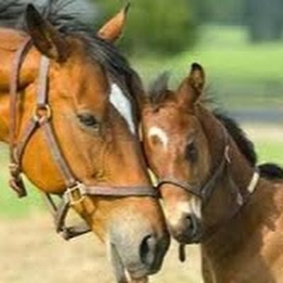 EmmaPiart65540's profile picture. 