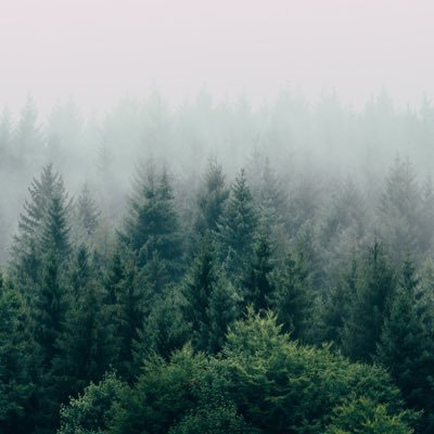 kkyler2005's profile picture. 