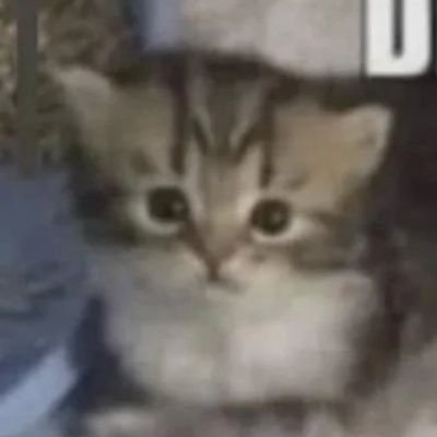 burstlimit_fps's profile picture. 