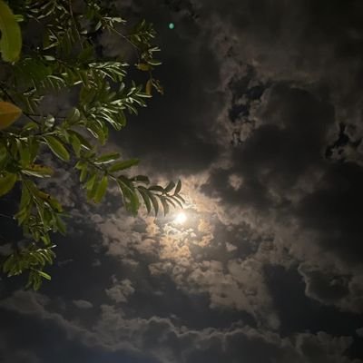 itsybitsyanfi's profile picture. fear of being judged.