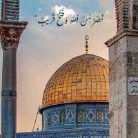 علياء ♡゙ (@alyaa791) Twitter profile photo