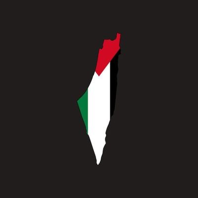 SalahRAhmed's profile picture. Software Engineer • Flutter • (he/him) | #FreePalestine 𓂆 🇵🇸 | #fetrah #فطرة