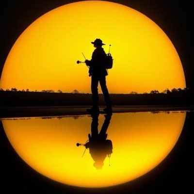 FelhaziNic27079's profile picture. Elon Musk and X supporter.