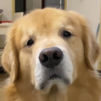 yihangshuai's profile picture. 