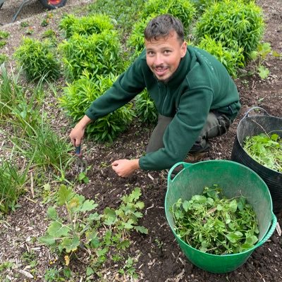 Passionate about Horticulture. Love propagation. Currently doing a level 2 apprenticeship working at @walledgardens in Cannington, Somerset. @tombennett_93