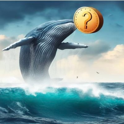 hackplanb's profile picture. 