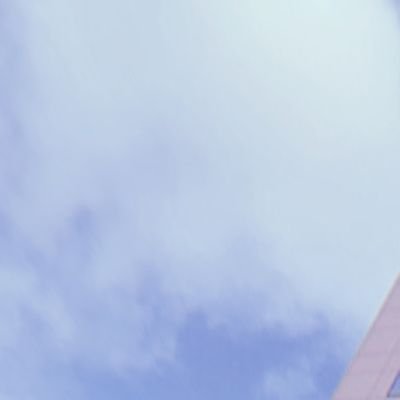 NA34139715's profile picture. 成人済