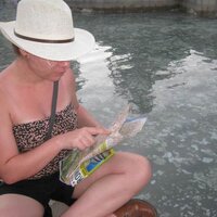 Tildie Smit (@tildiesmit) 's Twitter Profile