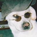 tina camp - @camptootie - Twitter