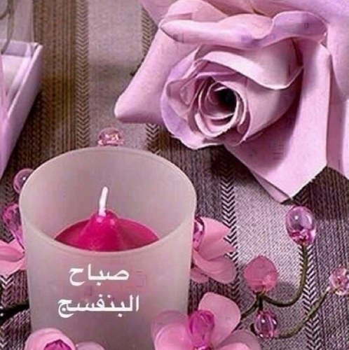 بكاليريوس تربية تخصص رياض اطفال - معلمه كويتيه في روضه حكوميه- أحلم وأتمنى أن يصبح المعلم في الكويت معلماً فقط !!