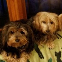 Vanessa Wright (@vanessawri22352) 's Twitter Profile Photo Vanessa Wright (@vanessawri22352) 's Twitter Profile Photo