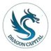 Dragon Capital Markets - International Formations (@Dragon_Advisory) Twitter profile photo