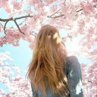 Tooded (@tooded27097) 's Twitter Profile