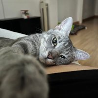 π―ππππππ π΅πππ π²ππ (@danielajaen6) 's Twitter Profile