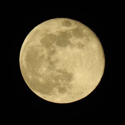 zszorsen's profile picture. 