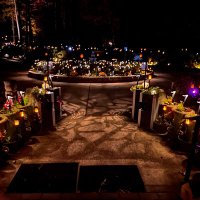 dadijidhillon (@pkdhillon) 's Twitter Profile