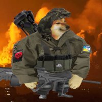 Savage Royal Warrior🇺🇦🇮🇱(@x_troll_news) 's Twitter Profile Photo