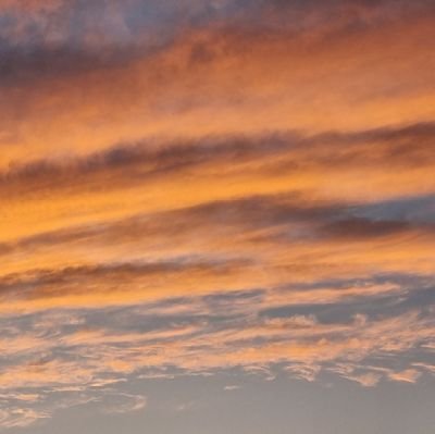 Bartolomlascas1's profile picture. Hasta que no hayas amado a un animal, una parte de tu alma permanecerá dormida.