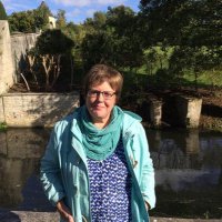 Diane Simmons 💙 (@scooterwriter) 's Twitter Profile